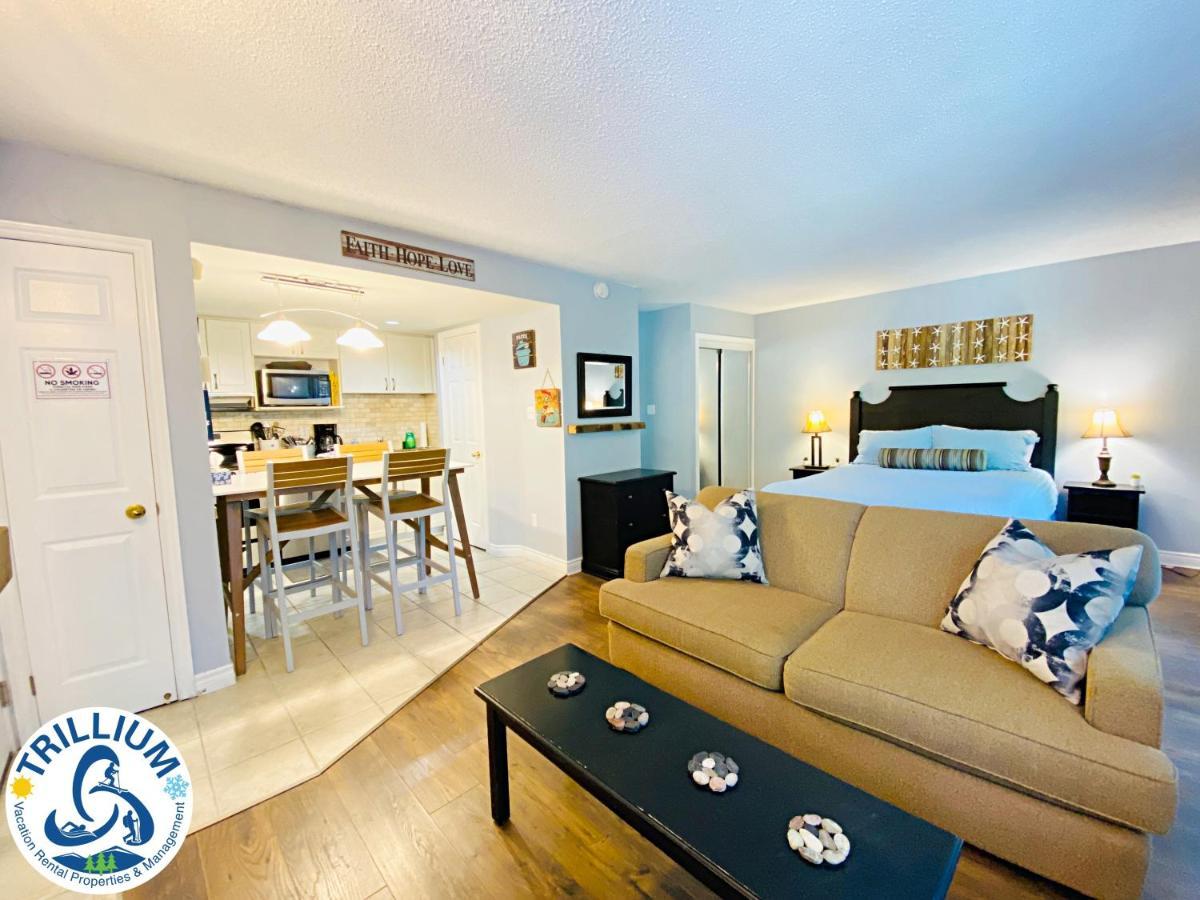 Slopeside Blue Mountain Condo - Wifi, Linens/Towels, Ski In/Out Blue Mountains Exterior foto
